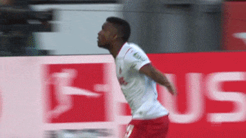 1 Fc Cologne Football GIF by 1. FC Köln