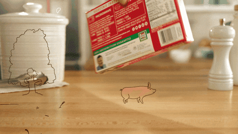 live action animation GIF by The Rocket Panda