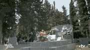 Sad Funeral GIF by Un si grand soleil