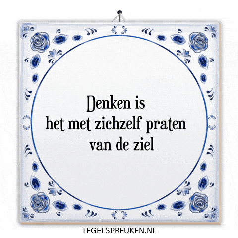 Wijsheid Reflectie GIF by Tegelspreuken.nl