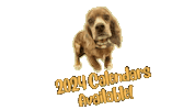 Sticker by Camp Cocker Rescue