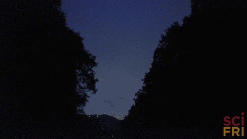 summer sky GIF by Science Friday