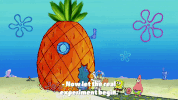 season 9 the fish bowl GIF by SpongeBob SquarePants