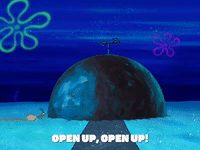 season 8 restraining spongebob GIF by SpongeBob SquarePants