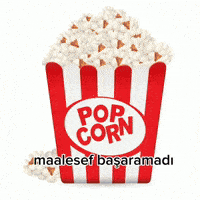 Kamal Kemalist GIF