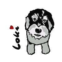 Cockapoo Sticker