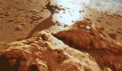 Beach Examine GIF by Xbox