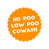 Hidratacao Brilhosidade Sticker by Carol kyoko