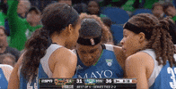 game 5 basketball GIF by WNBA