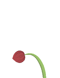 Summer Grow Sticker
