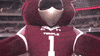 GIF by Temple Owls