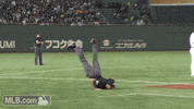 GIF by MLB