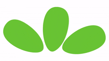 w-klein green leaves leave blossom GIF