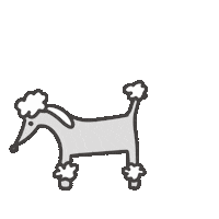 Poodle 狗 Sticker