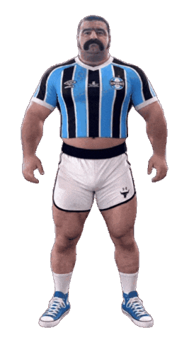 Futebol Brazil Sticker by Database數據