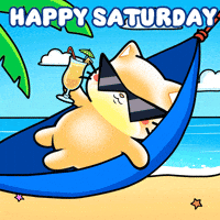 Cat Travel GIF by Mochimons