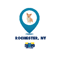 Cat Love Sticker by OTM Pet Care