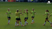 Celebration Goal GIF by Football Australia