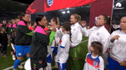 Handshake GIF by Football Australia