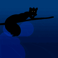 Kent State Squirrel GIF by Kent State University