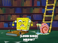 season 6 penny foolish GIF by SpongeBob SquarePants