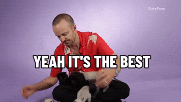 Aaron Paul GIF by BuzzFeed