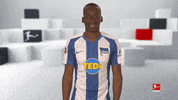 Hertha Bsc Football GIF by Bundesliga