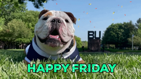 Video gif. A bulldog lays in the grass blinking and panting while confetti falls above a Butler University monument in the background. 