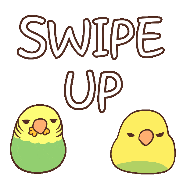 Bird Swipe Up Sticker by A Budgie's Life