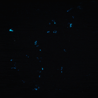 gif artist glow GIF by Erica Anderson