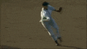 BeaverBaseball baseball ncaa college world series oregon state GIF