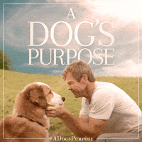 dennis quaid dogs GIF by A Dog's Purpose