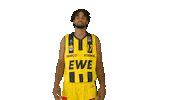 Ewe Baskets Basketball Sticker by EWE Baskets Oldenburg