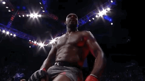 ufc 232 sport GIF by UFC
