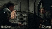 Red Dwarf Cat GIF