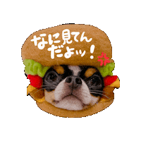 Bread Hamburger Sticker