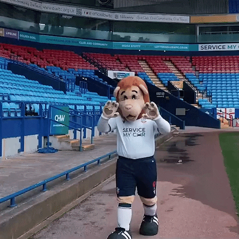 officialbwfc giphyupload wave waving bolton GIF