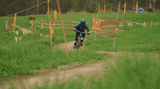friday feeling GIF by Red Bull
