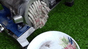 ExperimenMeatGrinder colorful meat underground experiment GIF