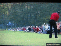Tiger Woods Sport GIF