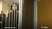 Organized Crime Nbc GIF by Law & Order