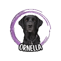 Ornella Sticker by Asilo per cani Dog'sMind