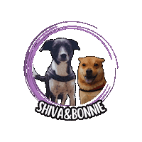 Dogsmind Sticker by Asilo per cani Dog'sMind