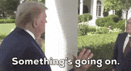 Donald Trump Cognitive Test GIF by GIPHY News
