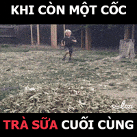 lozihn GIF by Lozi Singapore Co.