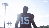 HogsPlus college plus arkansas hog GIF