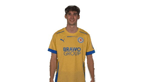 Eintracht Braunschweig Hello Sticker by Bundesliga