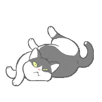 Cat Love Sticker by GORO