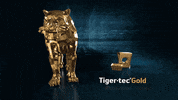 WalterSocialMedia metal tiger tools walter GIF