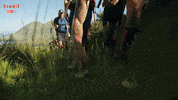 Picking Up GIF by The Summit Australia